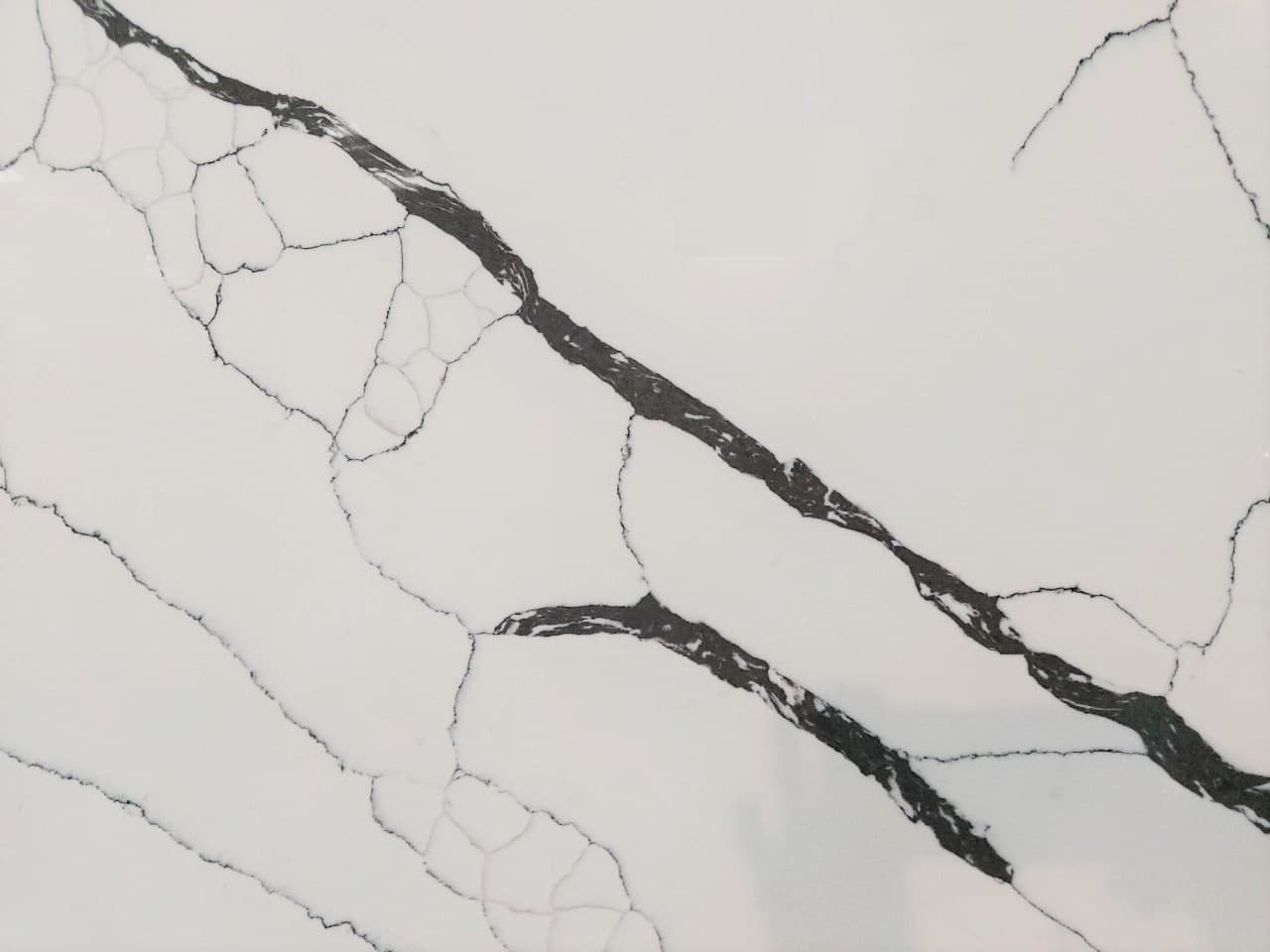 Calacatta Black